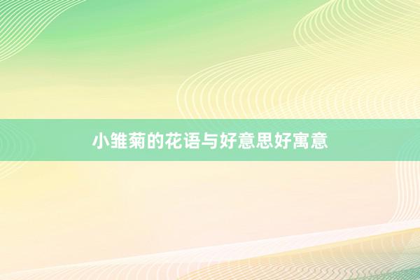 小雏菊的花语与好意思好寓意
