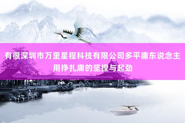 有很深圳市万里星程科技有限公司多平庸东说念主用挣扎庸的坚捏与起劲